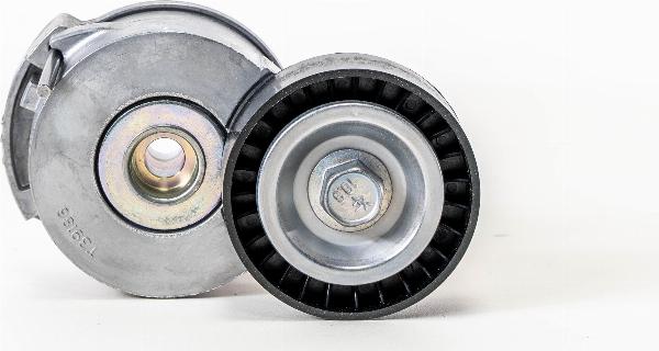 Magneti Marelli 384710 - Tendicinghia, Cinghia Poly-V www.autoricambi360.it