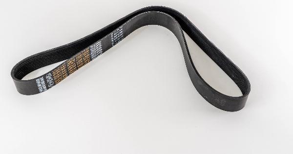 Magneti Marelli 295470 - Cinghia Poly-V www.autoricambi360.it