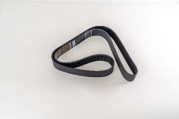 Magneti Marelli 295695 - Cinghia Poly-V www.autoricambi360.it