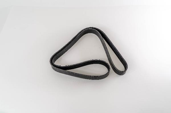 Magneti Marelli 296651 - Cinghia Poly-V www.autoricambi360.it
