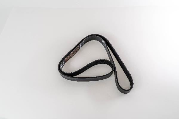 Magneti Marelli 290258 - Cinghia Poly-V www.autoricambi360.it