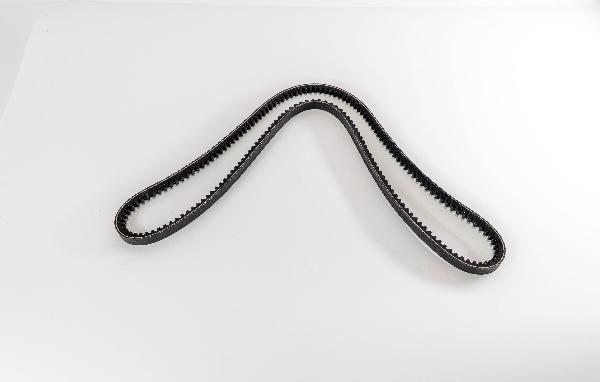 Magneti Marelli 291755 - Cinghia Poly-V www.autoricambi360.it