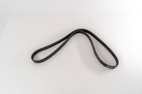 Magneti Marelli 293392 - Cinghia Poly-V www.autoricambi360.it