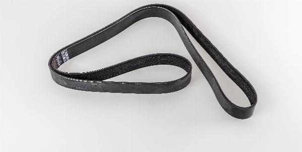 Magneti Marelli 293704 - Cinghia Poly-V www.autoricambi360.it
