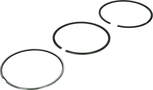 MAHLE 030 79 N0 - Kit fasce elastiche www.autoricambi360.it
