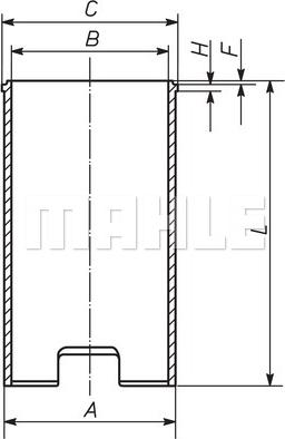 MAHLE 029 WV 13 00 - Canna cilindro www.autoricambi360.it