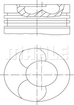 MAHLE 213 01 00 - Pistone www.autoricambi360.it