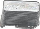 MAHLE CLC 361 000S - Radiatore olio, Olio motore www.autoricambi360.it