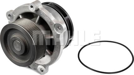 MAHLE CP 447 000P - Pompa acqua www.autoricambi360.it