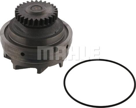 MAHLE CP 484 000S - Pompa acqua www.autoricambi360.it