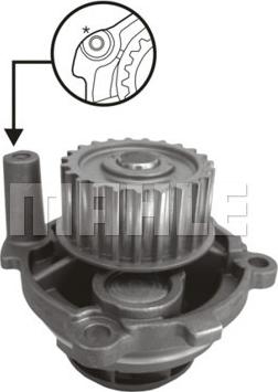 MAHLE CP 8 000S - Pompa acqua www.autoricambi360.it