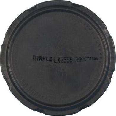 MAHLE LX 2556 - Filtro aria www.autoricambi360.it