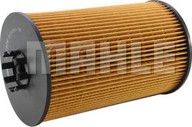 MAHLE OX 1026D - Filtro olio www.autoricambi360.it