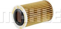 MAHLE OX 209D - Filtro olio www.autoricambi360.it