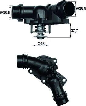 MAHLE TM 13 97 - Termostato, Refrigerante www.autoricambi360.it