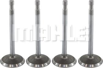 MAHLE VA0590044 - Valvola di aspirazione www.autoricambi360.it
