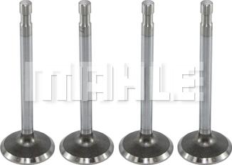 MAHLE VA0590043 - Valvola di aspirazione www.autoricambi360.it