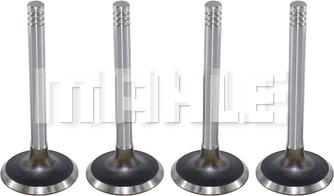 MAHLE VA0590066 - Valvola di aspirazione www.autoricambi360.it