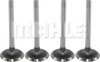 MAHLE VA0590067 - Valvola di aspirazione www.autoricambi360.it