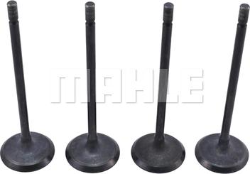 MAHLE VA0181730 - Valvola di aspirazione www.autoricambi360.it