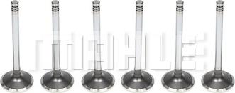 MAHLE VA0130933 - Valvola di aspirazione www.autoricambi360.it