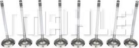 MAHLE VA0251610 - Valvola di aspirazione www.autoricambi360.it
