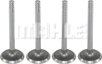 MAHLE VA0700017 - Valvola di aspirazione www.autoricambi360.it