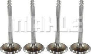 MAHLE VA0700088 - Valvola di aspirazione www.autoricambi360.it