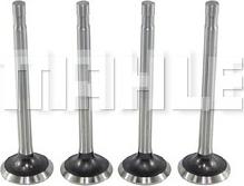 MAHLE VE0590042 - Valvola di scarico www.autoricambi360.it