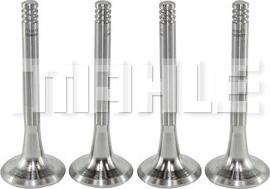 MAHLE VE0590065 - Valvola di scarico www.autoricambi360.it