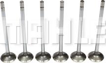 MAHLE VE0381700 - Valvola di scarico www.autoricambi360.it