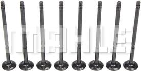 MAHLE VE0251611 - Valvola di scarico www.autoricambi360.it