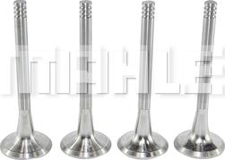 MAHLE VE0700016 - Valvola di scarico www.autoricambi360.it