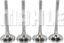 MAHLE VE0700087 - Valvola di scarico www.autoricambi360.it