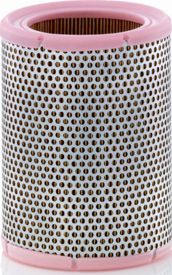 Mann-Filter C 1362 - Filtro aria www.autoricambi360.it