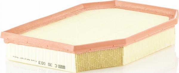 Mann-Filter C 30 003 - Filtro aria www.autoricambi360.it
