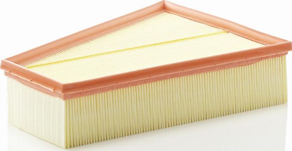 Mann-Filter C 30 161 - Filtro aria www.autoricambi360.it