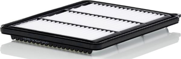 Mann-Filter C 25 051 - Filtro aria www.autoricambi360.it