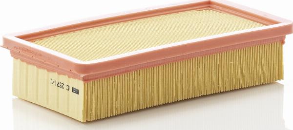 Mann-Filter C 2571/1 - Filtro aria www.autoricambi360.it