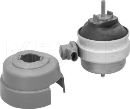 Meyle 100 199 0286 - Sospensione, Motore www.autoricambi360.it