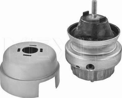 Meyle 100 199 3165 - Sospensione, Motore www.autoricambi360.it