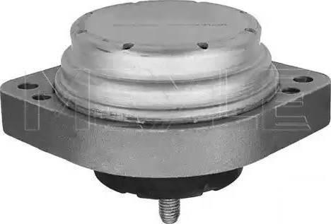 Meyle 300 221 1132 - Sospensione, Motore www.autoricambi360.it