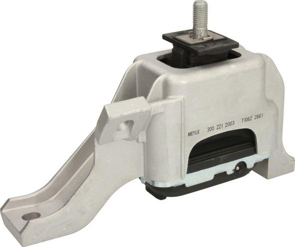 Meyle 300 221 2003 - Sospensione, Motore www.autoricambi360.it