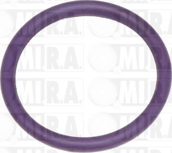 MI.R.A. 50/1007 - Anello tenuta, Tubo refrigerante www.autoricambi360.it