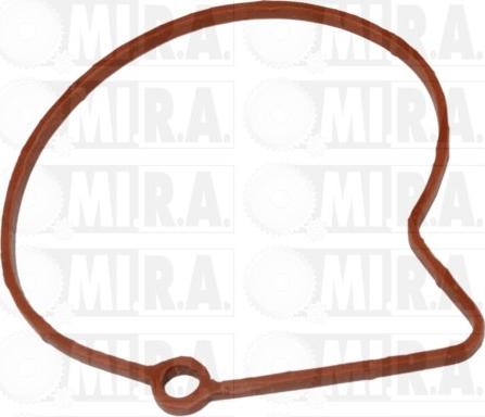 MI.R.A. 29/6002G - Kit riparazione, Pompa a depressione (Sistema frenante) www.autoricambi360.it