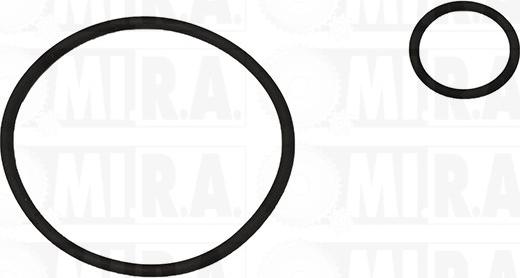 MI.R.A. 29/6026K - Kit guarnizioni, Pompa a depressione www.autoricambi360.it
