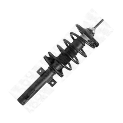MONROE 5550060 - Ammortizzatore www.autoricambi360.it