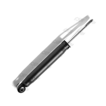 MONROE G2120 - Ammortizzatore www.autoricambi360.it