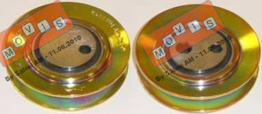 MOVIS AST1169 - Galoppino / Guidacinghia, Cinghia Poly-V www.autoricambi360.it
