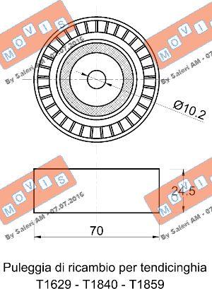 MOVIS AST1175 - Galoppino / Guidacinghia, Cinghia Poly-V www.autoricambi360.it